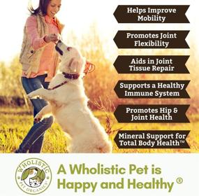 img 2 attached to 🐶 Wholistic Pet Organics Joint Supplement: Enhanced Joint Mobility with Green Lipped Mussel - Daily Health Supplements for Dogs with Glucosamine Powder, MSM, Probiotics, Vitamins, Minerals