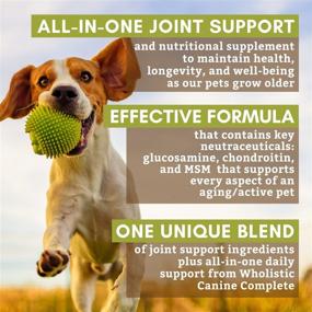 img 3 attached to 🐶 Wholistic Pet Organics Joint Supplement: Enhanced Joint Mobility with Green Lipped Mussel - Daily Health Supplements for Dogs with Glucosamine Powder, MSM, Probiotics, Vitamins, Minerals