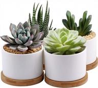 add elegance to your space with zoutog mini ceramic succulent planters - pack of 4 логотип