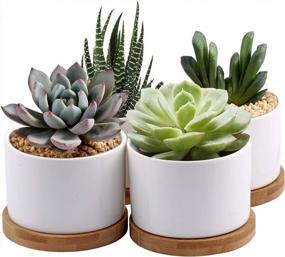 img 4 attached to Add Elegance To Your Space With ZOUTOG Mini Ceramic Succulent Planters - Pack Of 4