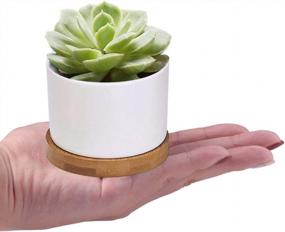 img 1 attached to Add Elegance To Your Space With ZOUTOG Mini Ceramic Succulent Planters - Pack Of 4