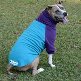 img 3 attached to Colorblock Big Dog Sweater/Pullover for Pitbulls and Bully Breeds - Medium Size