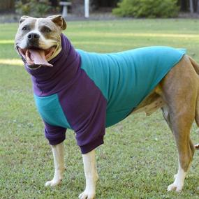 img 2 attached to Colorblock Big Dog Sweater/Pullover for Pitbulls and Bully Breeds - Medium Size