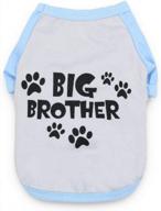 droolingdog big brother t-shirt: stylish puppy clothes for small dogs, medium grey logo