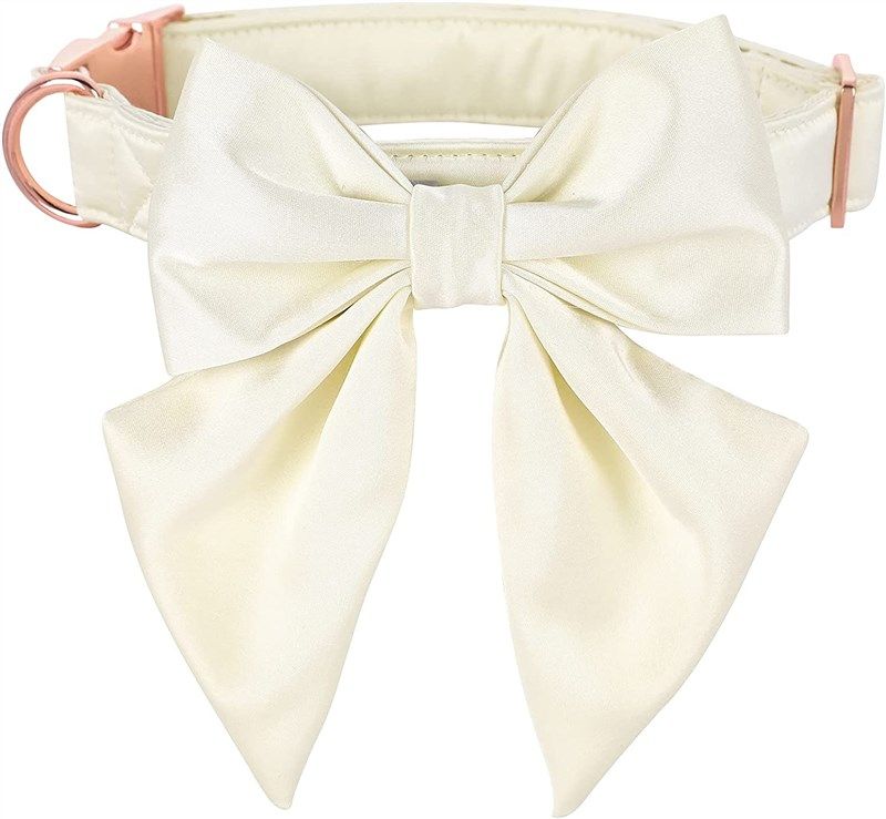 Paws Bowtie Dog Collar Dogs at Training & Behavior Aids Reviews