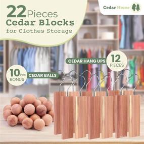 img 3 attached to 🌲 Cedar Hyde Cedar Blocks: Clothes Storage, Protection, and Deodorizer - 22-Piece Set