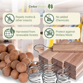 img 2 attached to 🌲 Cedar Hyde Cedar Blocks: Clothes Storage, Protection, and Deodorizer - 22-Piece Set