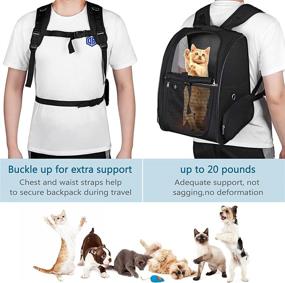 img 1 attached to 🐱 WOYYHO Breathable Mesh Cat Carrier Backpack – Clear, Collapsible, and Ventilated Pet Backpack for Small Animals – Ideal for Travel, Hiking, and Outdoor Adventures