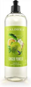 img 3 attached to Caldrea Dish Soap, Biodegradable Dishwashing Liquid Made With Soap Bark And Aloe Vera, Ginger Pomelo, 16 Fl Oz (Pack Of 3)
