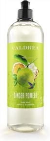 img 1 attached to Caldrea Dish Soap, Biodegradable Dishwashing Liquid Made With Soap Bark And Aloe Vera, Ginger Pomelo, 16 Fl Oz (Pack Of 3)