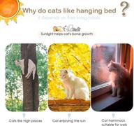 🐱 jinrui-t cat window hammock perch seat - secure & spacious hanging bed for large indoor cats logo