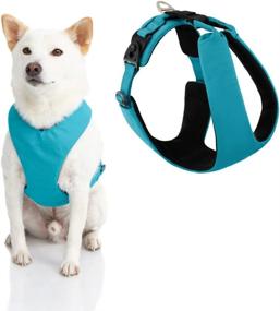 img 4 attached to Gooby Lite Gear Z Harness - Scratch Resistant Ergonomic Harness With Shock Absorption - Head-In Harness For Small Or Medium Dogs