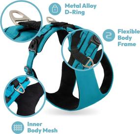 img 3 attached to Gooby Lite Gear Z Harness - Scratch Resistant Ergonomic Harness With Shock Absorption - Head-In Harness For Small Or Medium Dogs