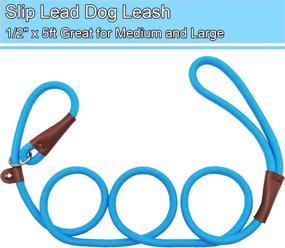 img 2 attached to SEPXUFORE Leash Colors Climbing Training Dogs for Training & Behavior Aids