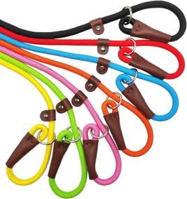 img 1 attached to SEPXUFORE Leash Colors Climbing Training Dogs for Training & Behavior Aids