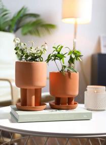 img 3 attached to Set Of 2 - 4.5" Terracotta Clay Plant Pots W/ 3 Legs & Saucer | Indoor Succulent Planters