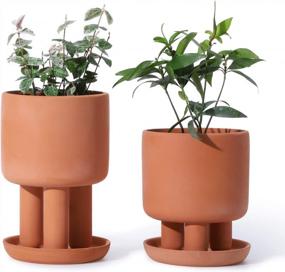 img 4 attached to Set Of 2 - 4.5" Terracotta Clay Plant Pots W/ 3 Legs & Saucer | Indoor Succulent Planters