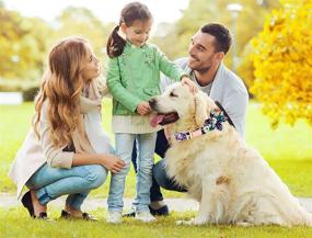 img 2 attached to 🌸 Stylish Dog Collars for Small, Medium & Large Female Dogs - Flower Dog Bow Tie Collar with Adjustable Pet Collar - Perfect for Fall Puppy Collars