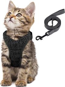 img 4 attached to 🐱 Simpeak Cat Harness and Leash Set - Escape Proof Adjustable Vest for Walking Cats and Dogs - Suitable for Small Medium Large Pets - Black, Large