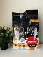 img 1 attached to Dry dog ​​food Pro Plan Opti Balance for medium breeds with chicken 3 kg review by Gabriela Bujanowicz ᠌