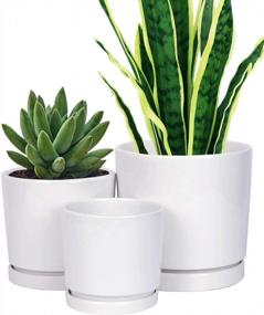 img 4 attached to Matte White Ceramic Planter Set With Drainage And Saucer - 3 Pack Of Various Sizes For Modern Indoor And Outdoor Decor