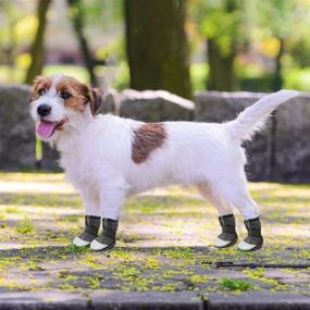 img 3 attached to 🐾 SCENEREAL Dog Boots: Breathable Waterproof Shoes with Reflective, 4 PCS Soft Paw Protectors for Hot Pavement, Puppy Summer, Hardwood Floors, Winter Hiking, Outdoor and Indoor