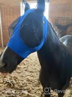 img 1 attached to SmithBuilt UV Horse Fly Mask - Teal, Cob Size - Mesh Eyes & Ears, Breathable Fabric Protection review by Ryan Talcott