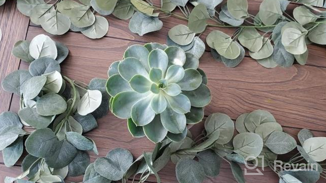 img 1 attached to Supla 6' Long Eucalyptus Garland Faux Silver Dollar Eucalyptus Leaves Garland Greenery Garland Wedding Hanging Eucalyptus Vine Arch Swag 164 Pcs Leave In Grey Green For Backdrop Photo Booth Boho Decor review by Bryan Murphy