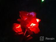 img 1 attached to Illuminate Your Garden With TONULAX Solar Rose Lights - 7-Color Changing, Realistic Flower Design, Enlarged Solar Panel - Perfect For Yard And Garden Decoration (2 Packs) review by Owen Blanco