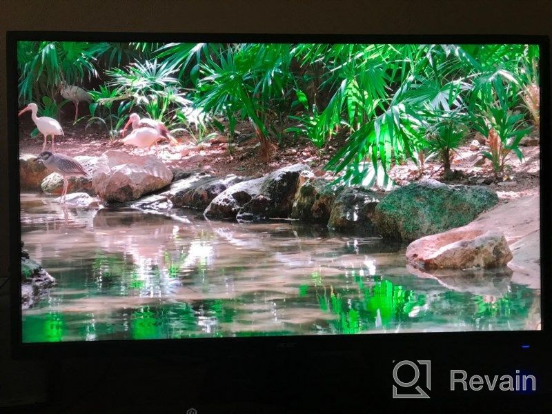 img 1 attached to Acer ET322QK 31.5-Inch 4K UHD Monitor 🖥️ with FREESYNC Technology, Tilt Adjustment, and HD Display review by Gregory Doe