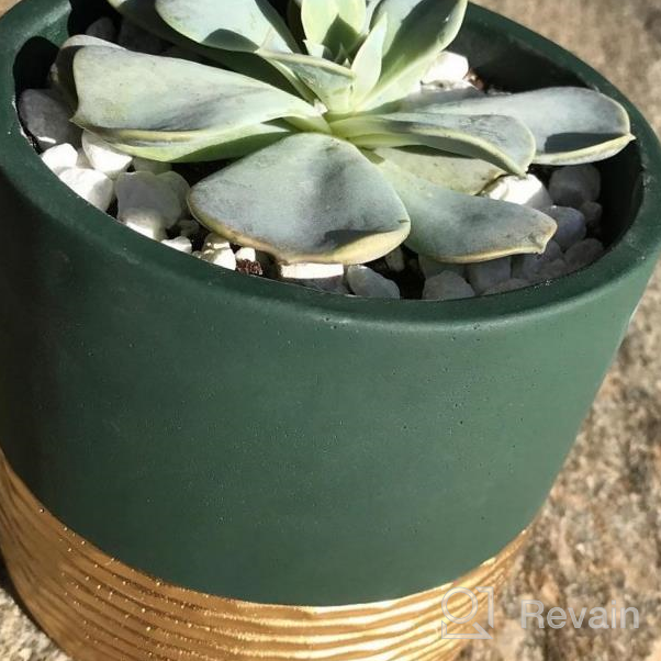 img 1 attached to Set Of 2 POTEY 5 Inch Concrete Succulent Planters With Drainage Holes - Flowerpots For Indoor Plants, Bonsai Containers (Plant NOT Included) review by Marquel Rubio