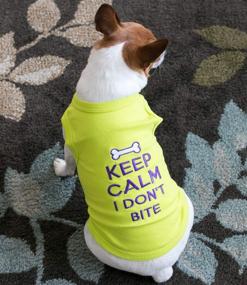 img 1 attached to 🐾 Keep Calm Parisian Pet T-Shirt by Parisian Pet