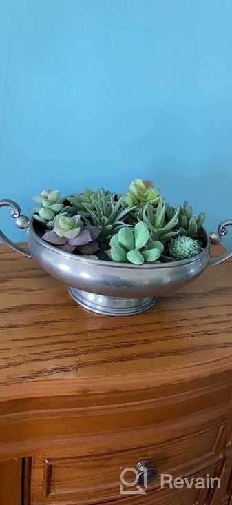 img 1 attached to 12 Pcs Unpotted Faux Succulent Plants - Small Plastic Assortment For Craft, Party Decor & Garden Outdoor review by Jyothish Pillai