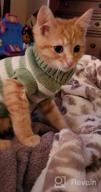 img 1 attached to Soft And Warm Striped Sweater For Cats And Small Dogs - High Stretch, Perfect For Male And Female Kittens - Knitwear Pet Clothes review by Dave Johnson