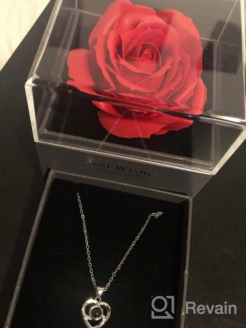 img 1 attached to Projection Heart Pendant Necklace: 100 Languages I Love You Jewelry, Valentine's Day Romantic Gift with Red Rose Storage Box review by Anna Coleman