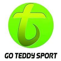 go teddy sport 로고