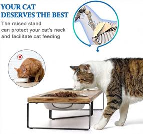img 2 attached to Cat Bowls Elevated Raised Cat Dog Bowl Stand With 2 Stainless Steel Cat Food Bowls For Cat Food And Water Bowls To Cats Small Dog Two Splicing Methods Carbonized Black