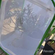 img 1 attached to Explore Nature With RESTCLOUD 24-Inch Insect And Butterfly Habitat Cage Terrarium review by Noel Pilla