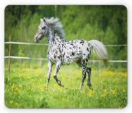 farmhouse rural mouse pad featuring appaloosa horse running on a meadow in summer time, non-slip rectangle rubber mousepad in green, black and white standard size by lunarable logo