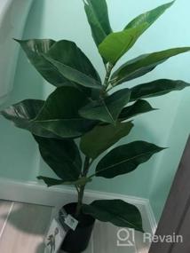 img 6 attached to BESAMENATURE Faux Tropical Rubber Tree Plant - Perfect For Office Or Home Decoration!