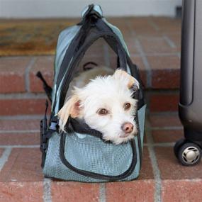 img 1 attached to SEO-Friendly Airline Approved Pet Carrier - Soft-Sided Carriers for Small to Medium Cats and Dogs: Ideal for Airplane 🐾 Travel, On-Board Under Seat Carrying Bag with Detachable Fleece Bolster Bed - Perfect for Kitten, Cat, Puppy, and Dog Taxi