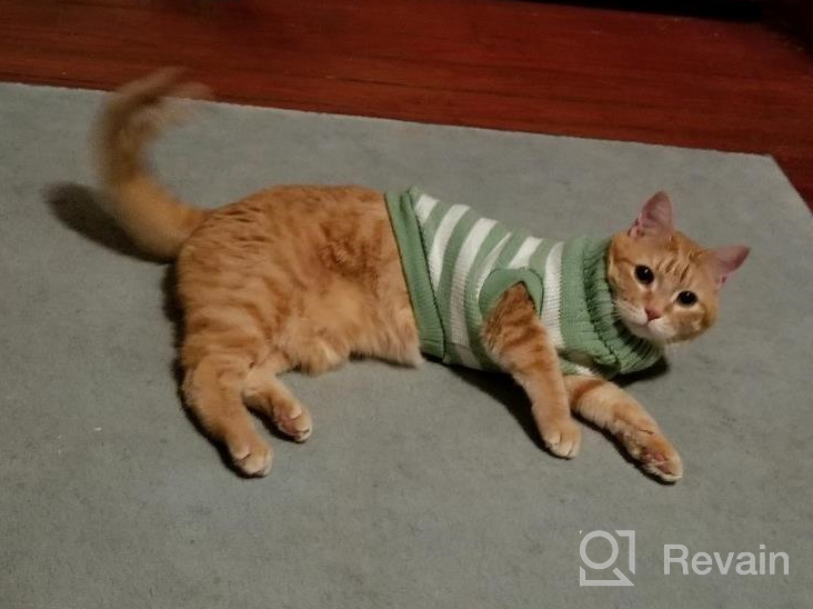 img 1 attached to Soft And Warm Striped Sweaters For Cats And Small Dogs - High Stretch Knitwear For Male And Female Kitties review by Kyle Deel