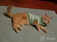 img 1 attached to Soft And Warm Striped Sweaters For Cats And Small Dogs - High Stretch Knitwear For Male And Female Kitties review by Kyle Deel