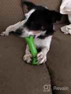 img 1 attached to Indestructible Dog Chew Toys For Large Breeds - Oneisall Bone Chew Toy For Aggressive Chewers review by Gary Cole