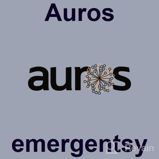 img 1 attached to Auros review by Anthony Lopez