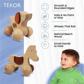 img 2 attached to 🐇 TEKOR Wooden Animal Push Toy with Wheels for Baby, Toddler: Enhance Grasping, Teething & Motor Skills - Montessori Wood Animal Car Set with Safe & Smooth Design (Pack of 2)