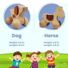 img 3 attached to 🐇 TEKOR Wooden Animal Push Toy with Wheels for Baby, Toddler: Enhance Grasping, Teething & Motor Skills - Montessori Wood Animal Car Set with Safe & Smooth Design (Pack of 2)