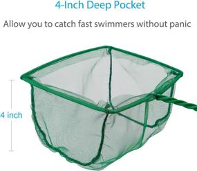 img 1 attached to 🐠 Pawfly 4/6 Inch Fish Catch Nets for Aquariums with Plastic Handle