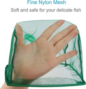 img 2 attached to 🐠 Pawfly 4/6 Inch Fish Catch Nets for Aquariums with Plastic Handle