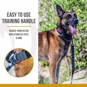 img 3 attached to Регулируемый военный тактический ошейник для собак с прочной пряжкой и ручкой для тренировок - прочный и прочный для средних пород (черный)